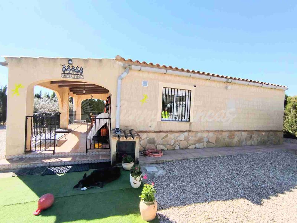 Landejendom i Caudete, Albacete - foto 2